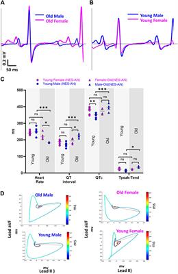 Demographic and Methodological Heterogeneity in Electrocardiogram Signals From Guinea Pigs